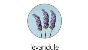 Obrázky: Lepiace lístky 51x74mm,100ks,sv.modré,LEVANDUĽA