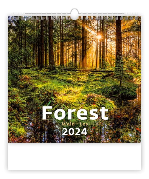 Obrázky: FOREST, nástenný kalendár 300x300 mm, väzba na špirále, Obrázok 1