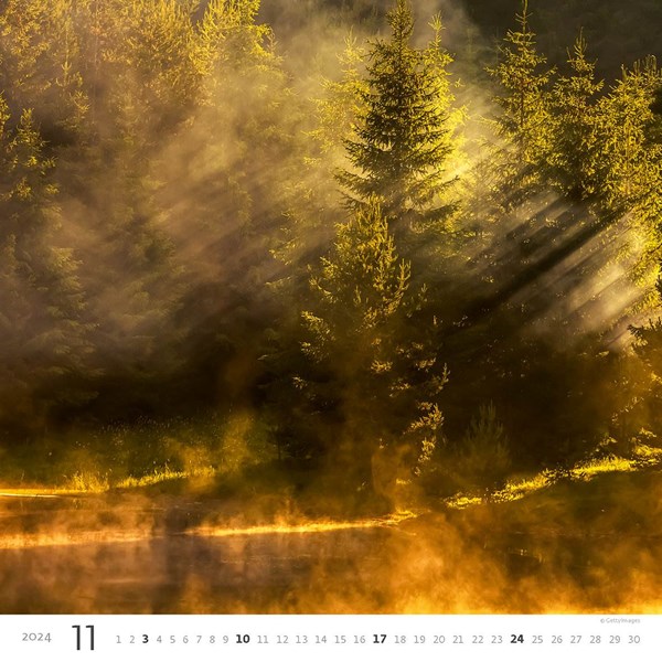 Obrázky: FOREST, nástenný kalendár 300x300 mm, väzba na špirále, Obrázok 12
