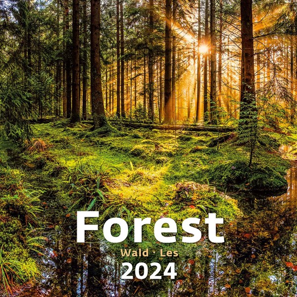 Obrázky: FOREST, nástenný kalendár 300x300 mm, väzba na špirále, Obrázok 14