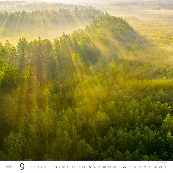 Obrázky: FOREST, nástenný kalendár 300x300 mm, väzba na špirále, Obrázok 10