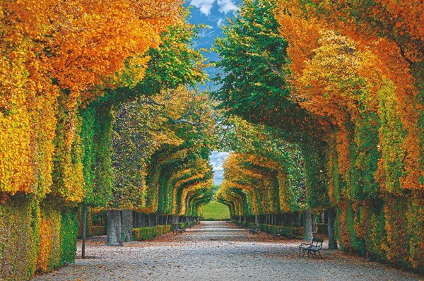 Obrázky: ALEJE, nástenný kalendár 485 x 340 mm, Obrázok 4