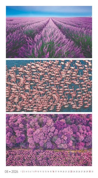 Obrázky: COLORS OF NATURE, nástenný kalendár 420x420 mm, Obrázok 12