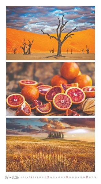 Obrázky: COLORS OF NATURE, nástenný kalendár 420x420 mm, Obrázok 13