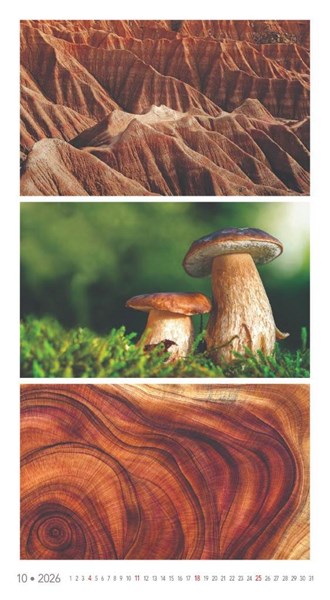 Obrázky: COLORS OF NATURE, nástenný kalendár 420x420 mm, Obrázok 3