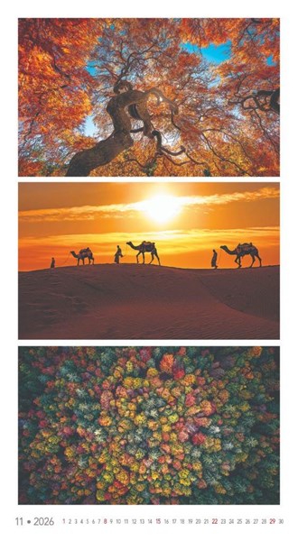 Obrázky: COLORS OF NATURE, nástenný kalendár 420x420 mm, Obrázok 4
