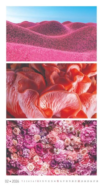 Obrázky: COLORS OF NATURE, nástenný kalendár 420x420 mm, Obrázok 6