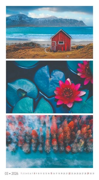 Obrázky: COLORS OF NATURE, nástenný kalendár 420x420 mm, Obrázok 7