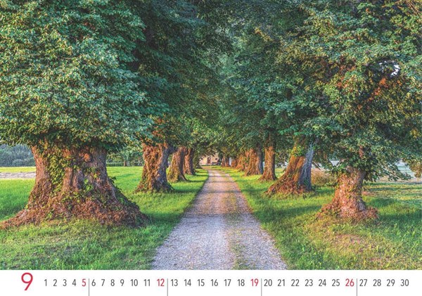 Obrázky: ALEJE, nástenný kalendár 485 x 340 mm, Obrázok 13