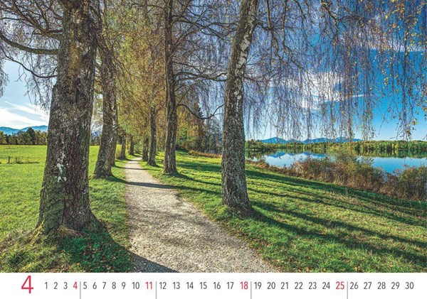 Obrázky: ALEJE, nástenný kalendár 485 x 340 mm, Obrázok 8