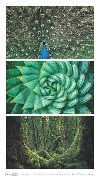 Obrázky: COLORS OF NATURE, nástenný kalendár 420x420 mm, Obrázok 11