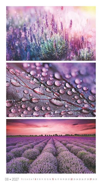 Obrázky: COLORS OF NATURE, nástenný kalendár 420x420 mm, Obrázok 12