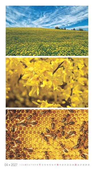 Obrázky: COLORS OF NATURE, nástenný kalendár 420x420 mm, Obrázok 8