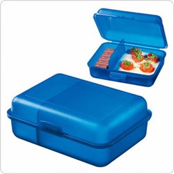 Zobrazit detaily pro Väčší plast.desiat.box s priehradkou,ZVOĽTE FARBU Obrázky: Väčší plast.desiat.box s priehradkou,ZVOĽTE FARBU